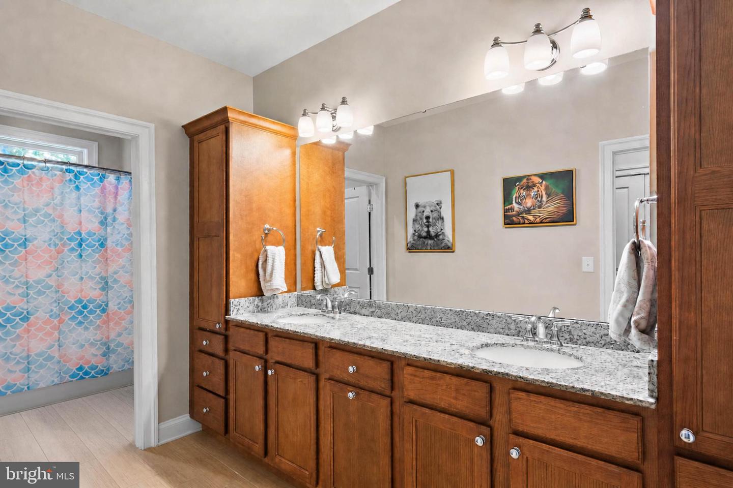 3 Mitchelmore Ct Property Photo 30