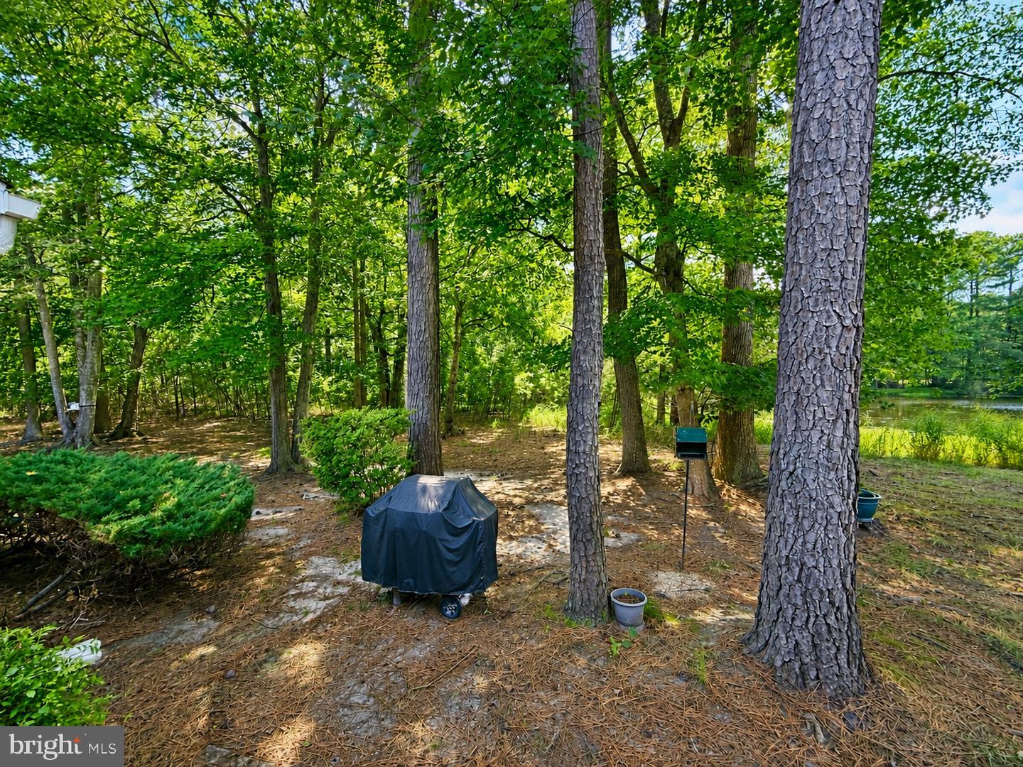 31870 Schooner Dr #44 Property Photo 14
