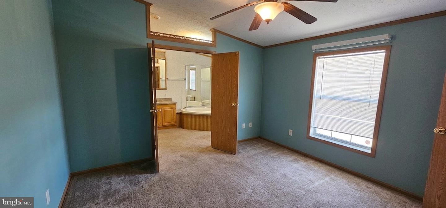 35613 Wolfe Neck Rd Property Photo 13