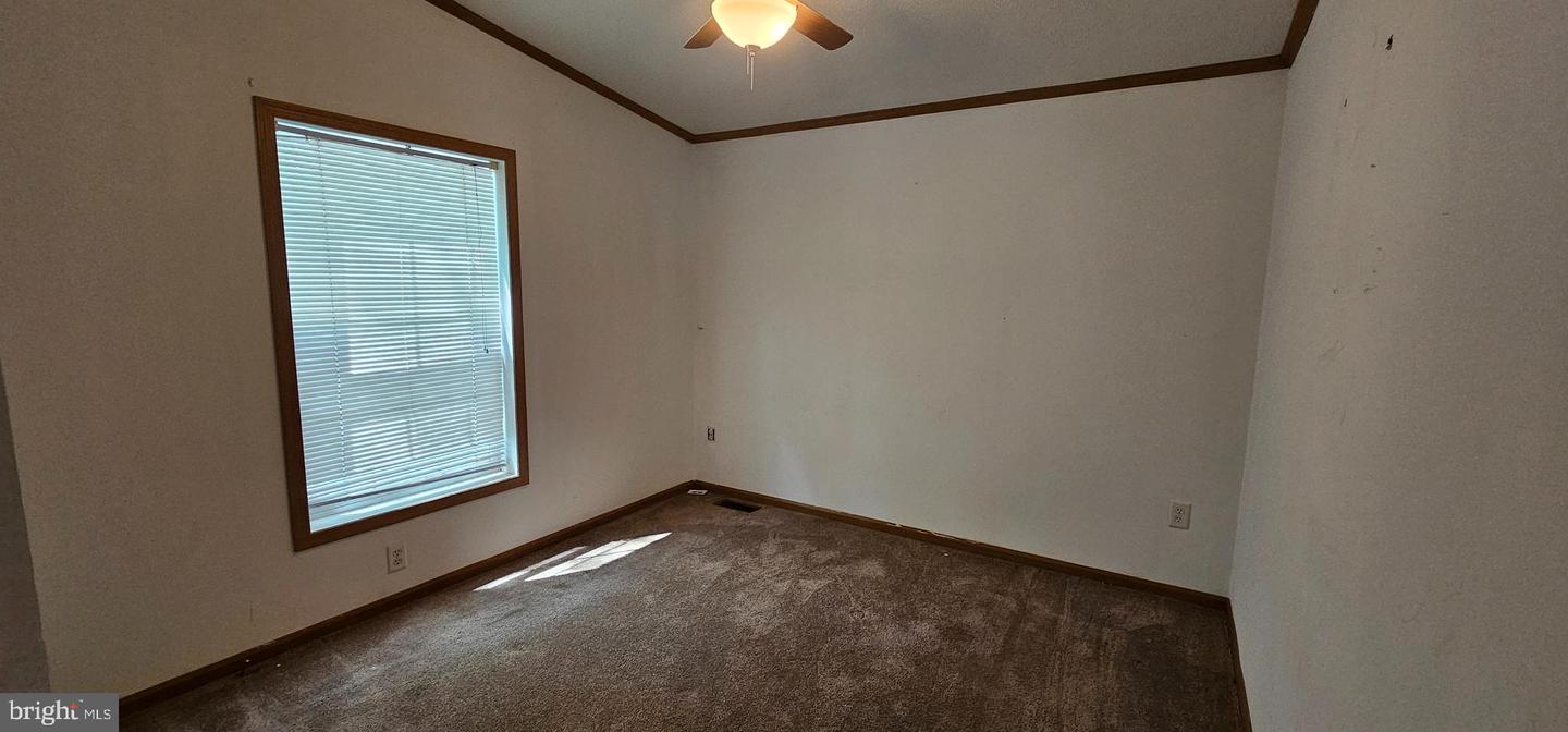 35613 Wolfe Neck Rd Property Photo 17