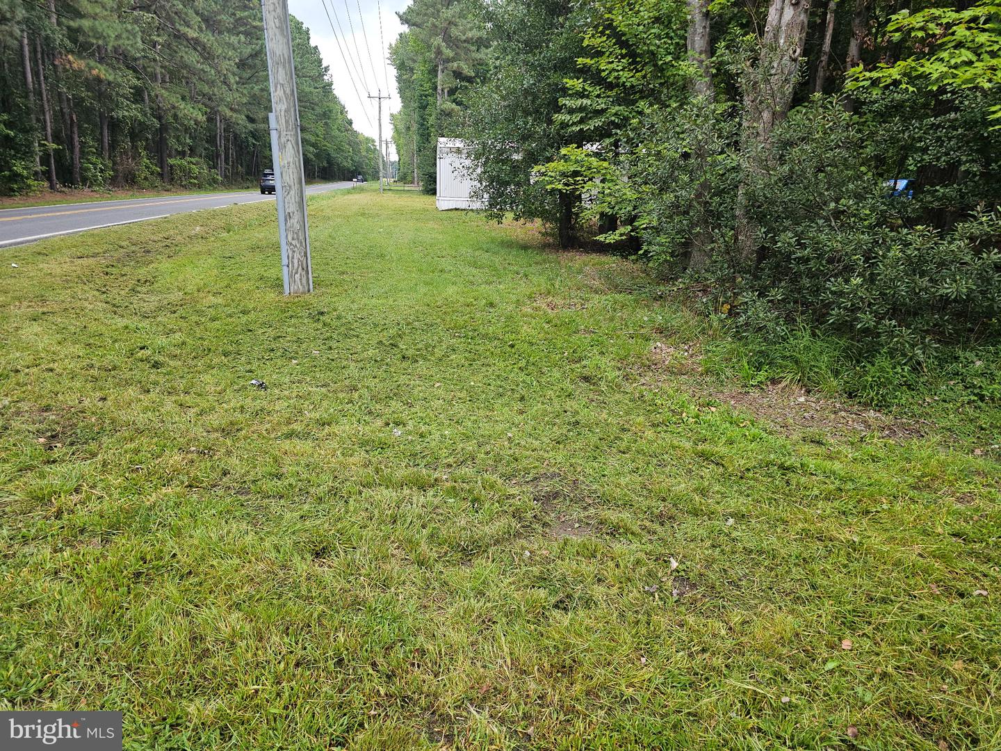 28597 Woodcrest Dr Property Photo 3