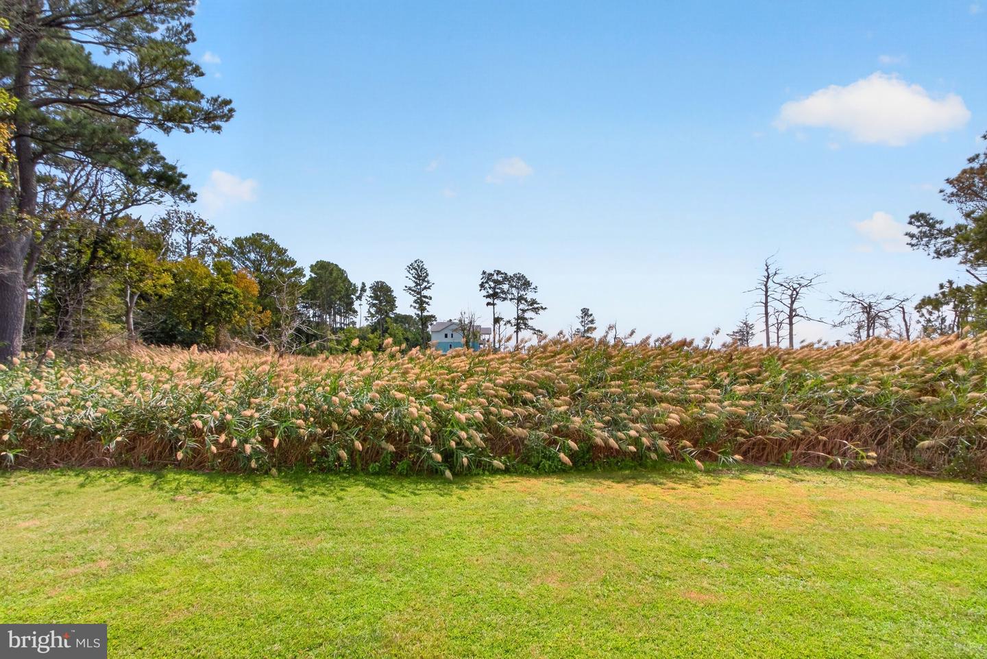 34742 Frontier Rd Property Photo 58