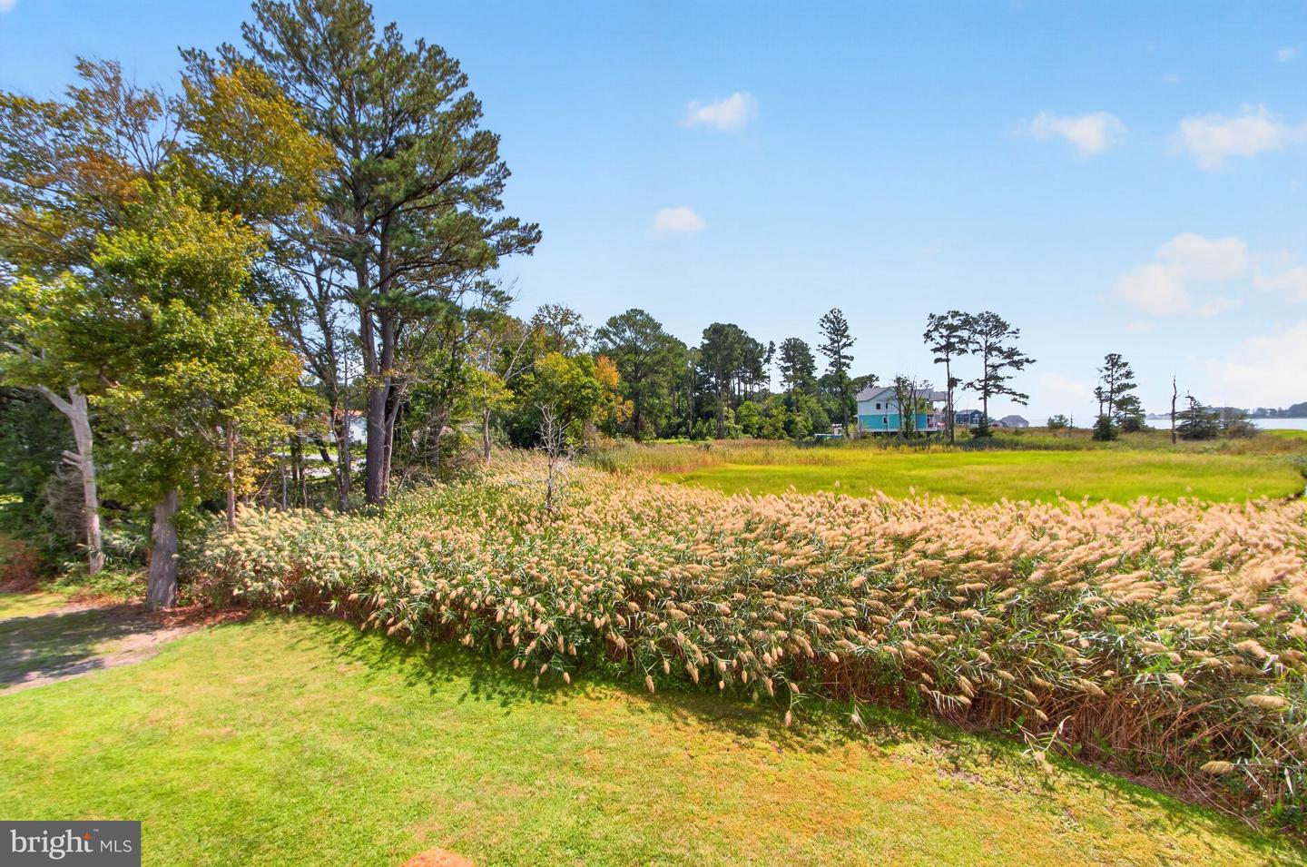 34742 Frontier Rd Property Photo 59