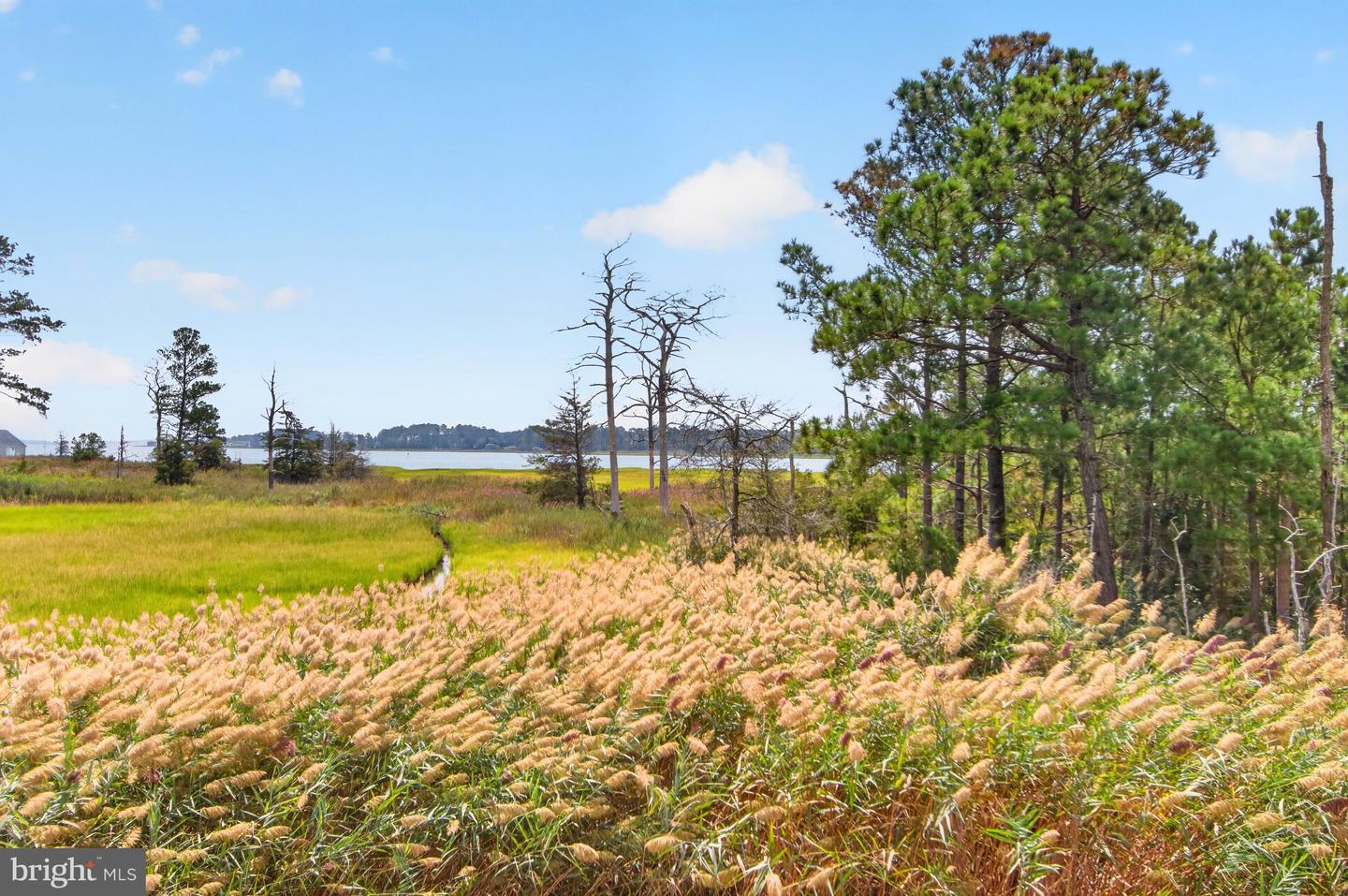 34742 Frontier Rd Property Photo 60