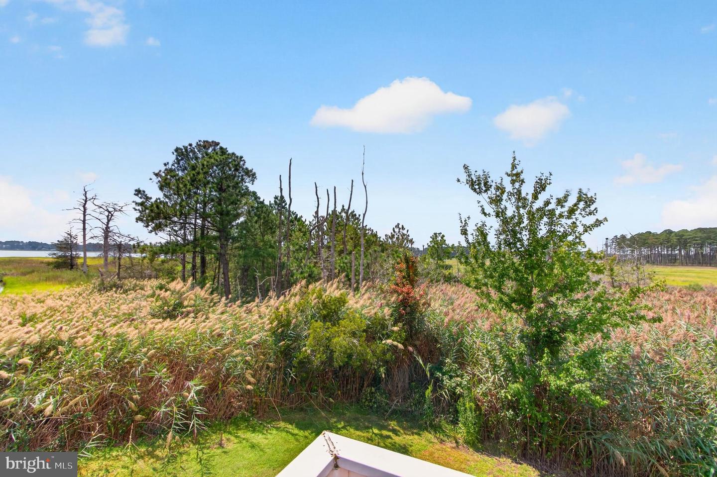 34742 Frontier Rd Property Photo 61