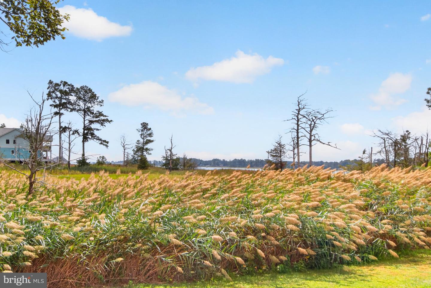 34742 Frontier Rd Property Photo 63