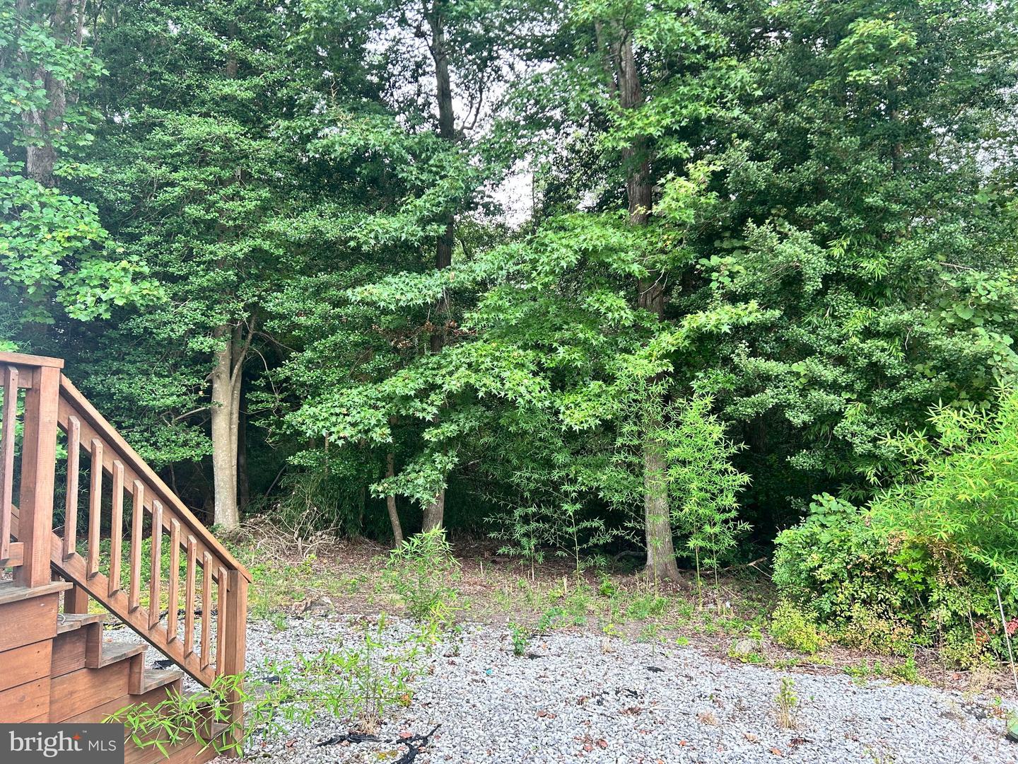 171 White Pine Dr Property Photo 7