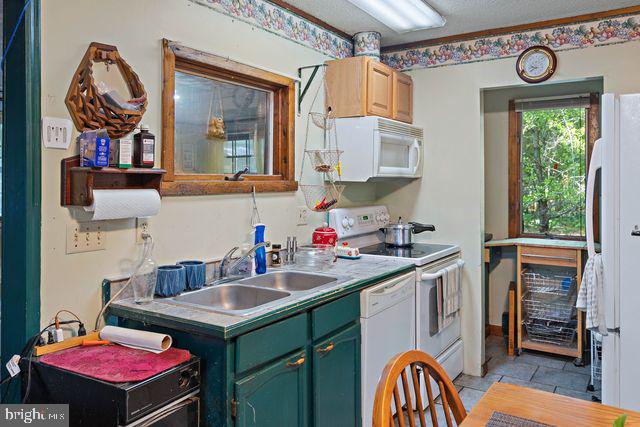 23009 Deep Branch Rd Property Photo 17