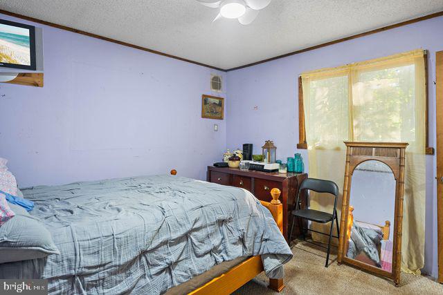23009 Deep Branch Rd Property Photo 30