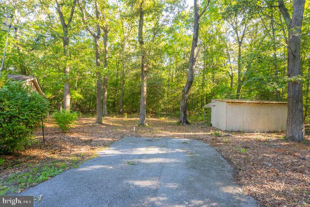23009 Deep Branch Rd Property Photo 41