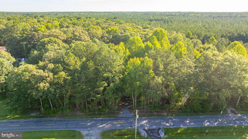 23009 Deep Branch Rd Property Photo 51