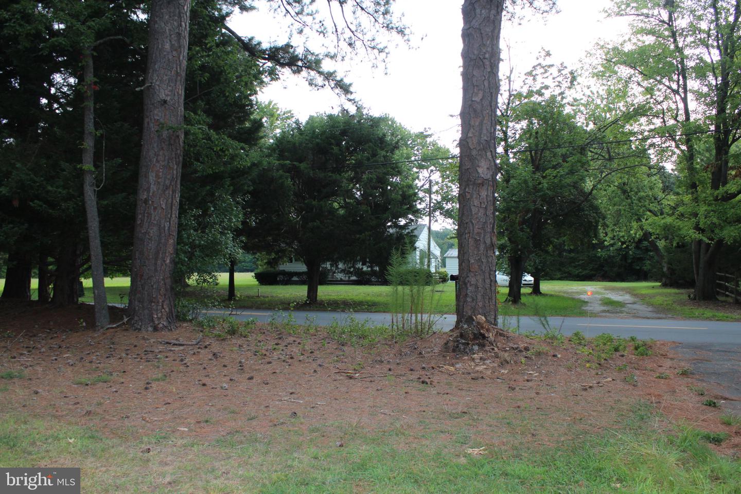 37151 Club House Rd Property Photo 3