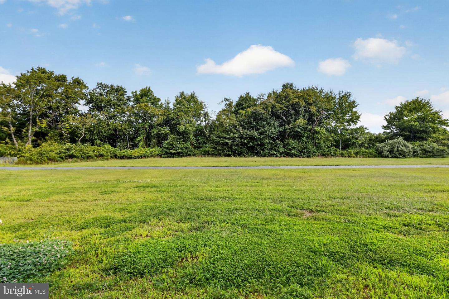28047 Dew Drop Ln Property Photo 42
