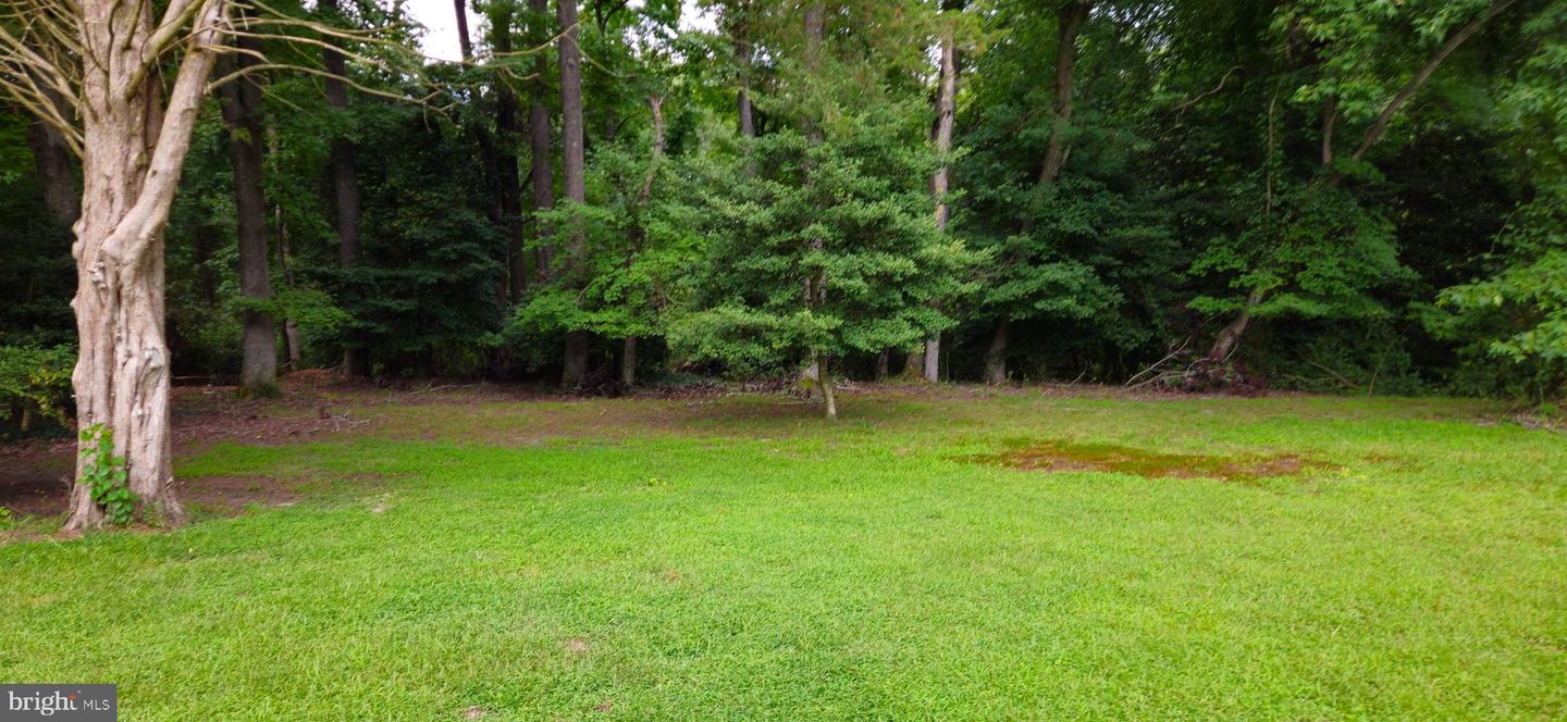 34395 Bi State Blvd Property Photo 15