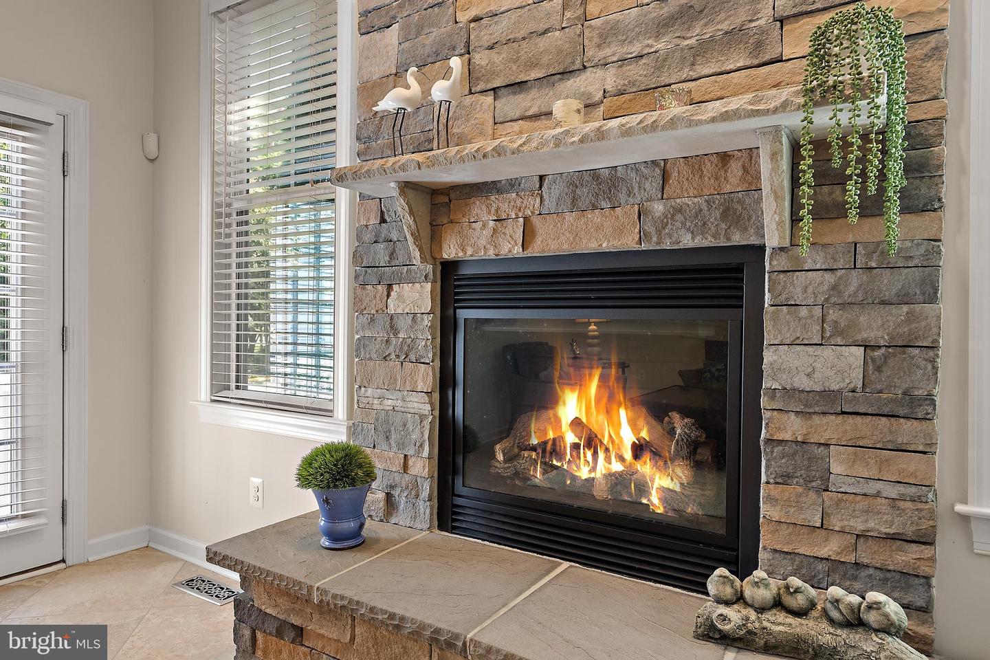 36496 Coneflower Cir Property Photo 20