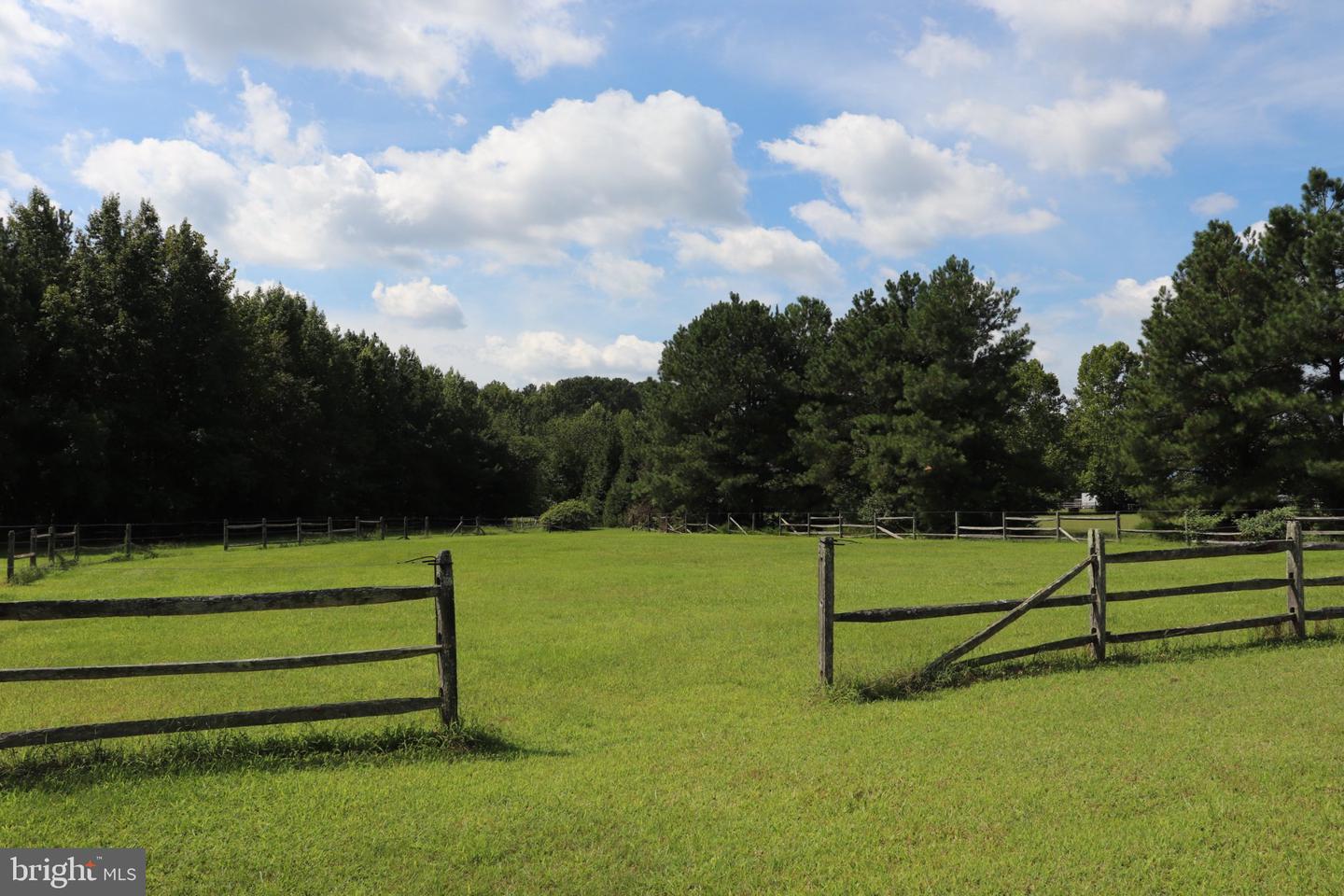 16786 Redden Rd Property Photo 18