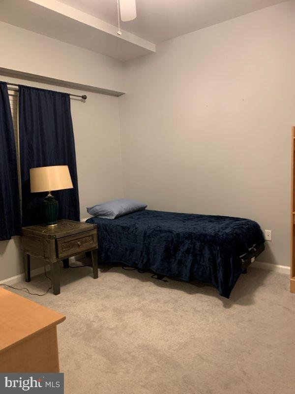 30413 Cedar Neck Rd #303 Property Photo 22