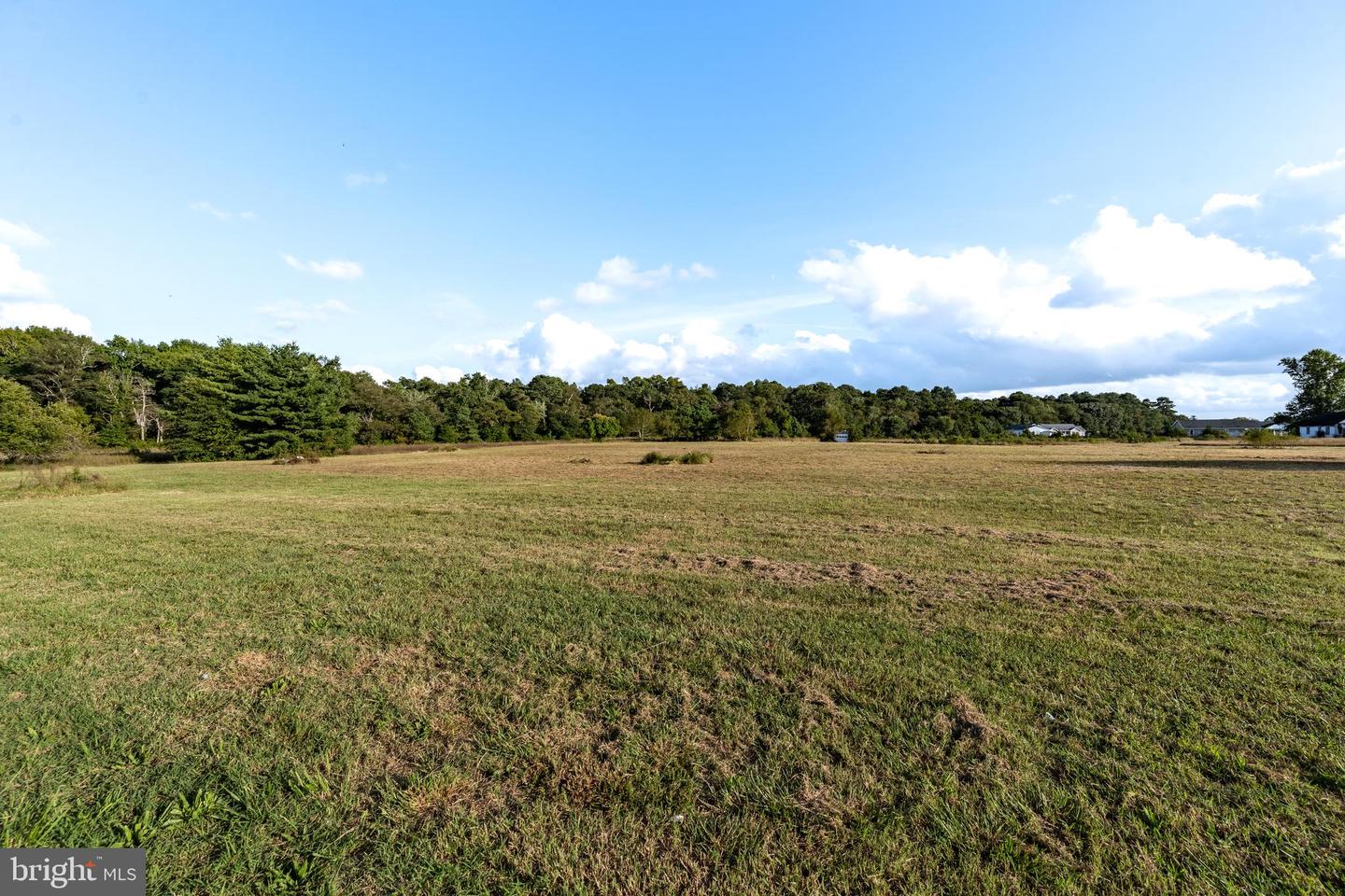 12062 Laurel Rd Property Photo 114
