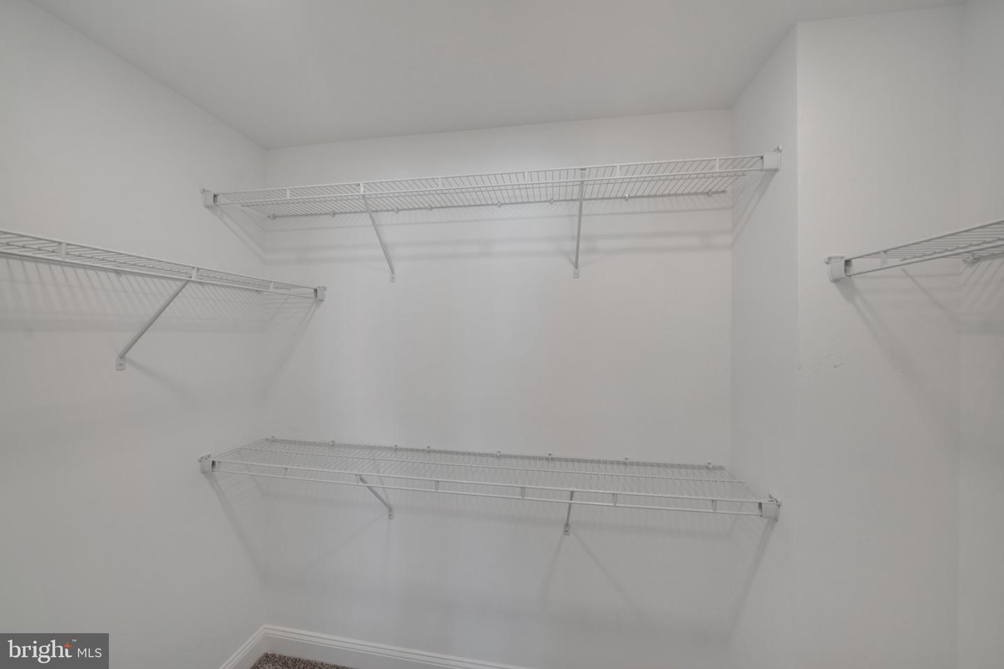 36846 Red Berry Rd Property Photo 22