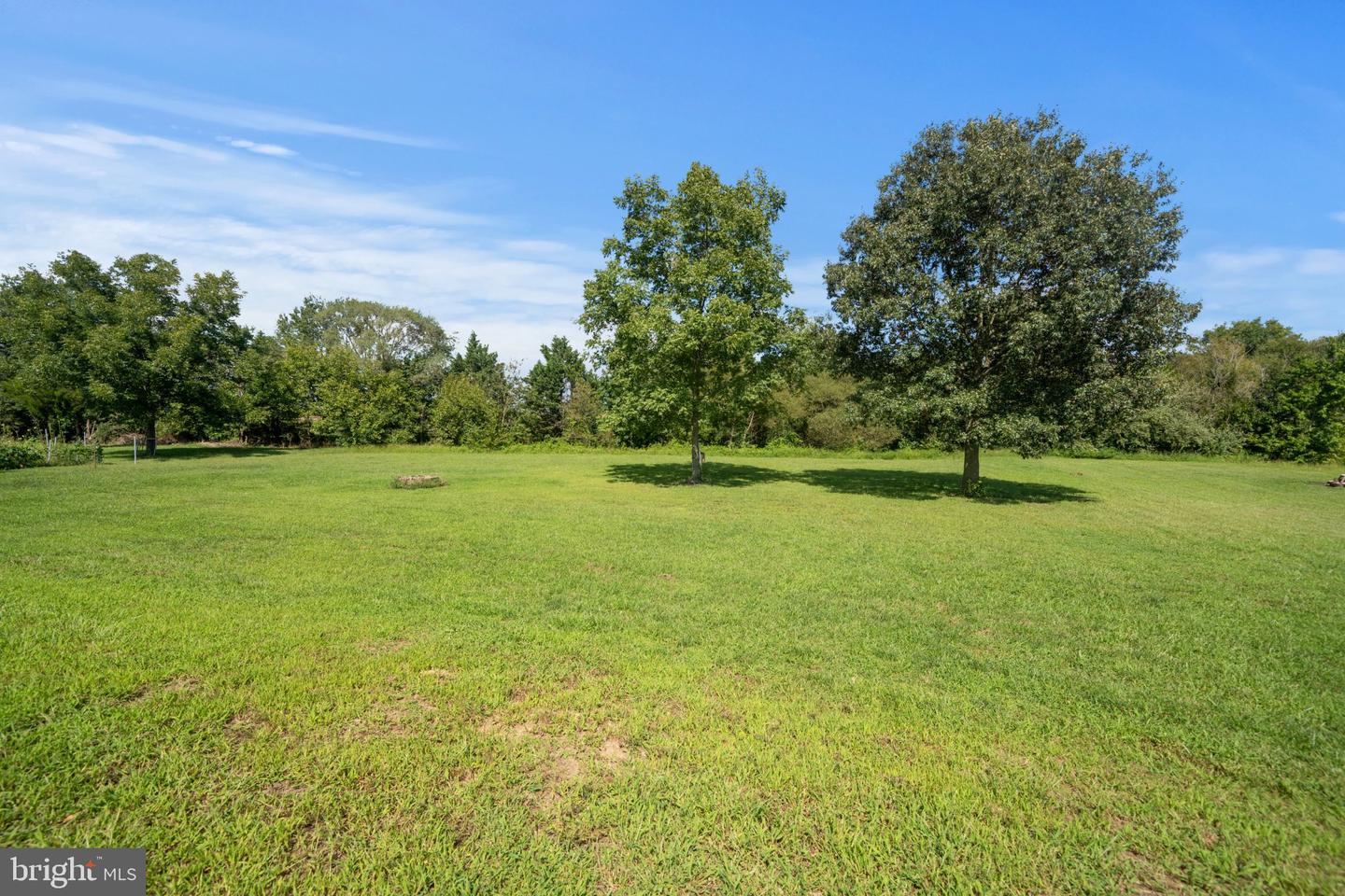 36846 Red Berry Rd Property Photo 42