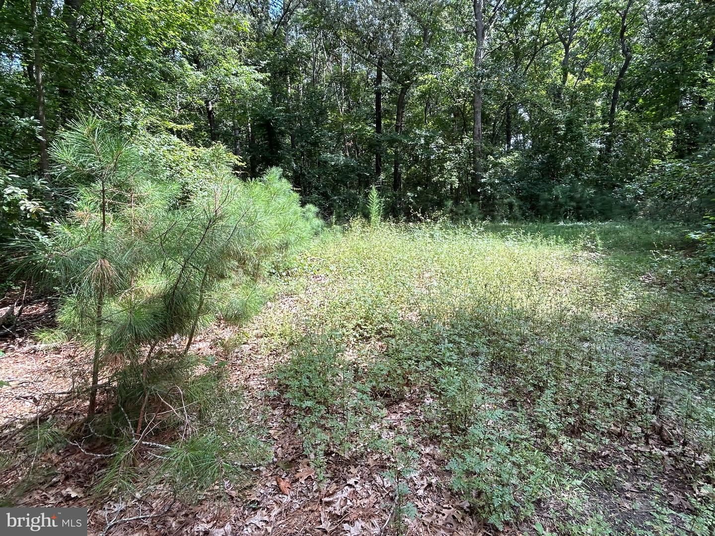34179 SPLIT RAIL LN Property Photo 1