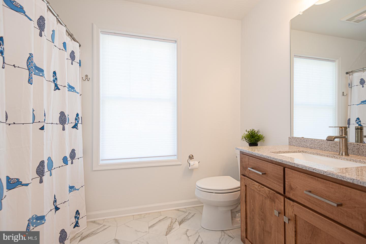 36710 Baltimore Ave Property Photo 34