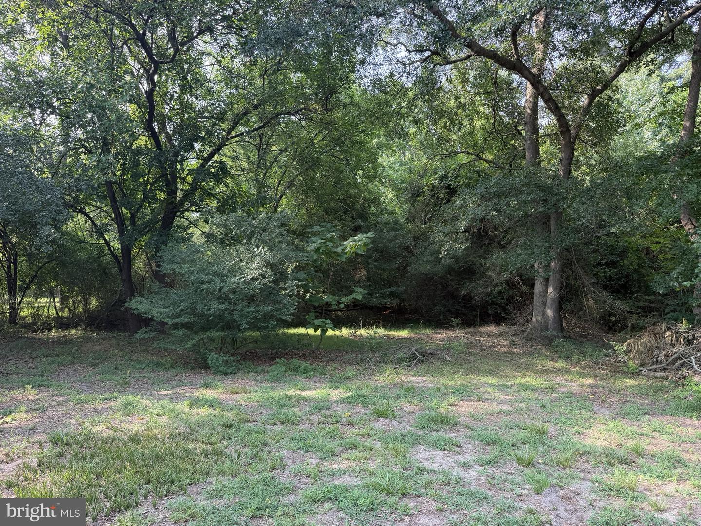 8751 Ockels Dr Property Photo 8