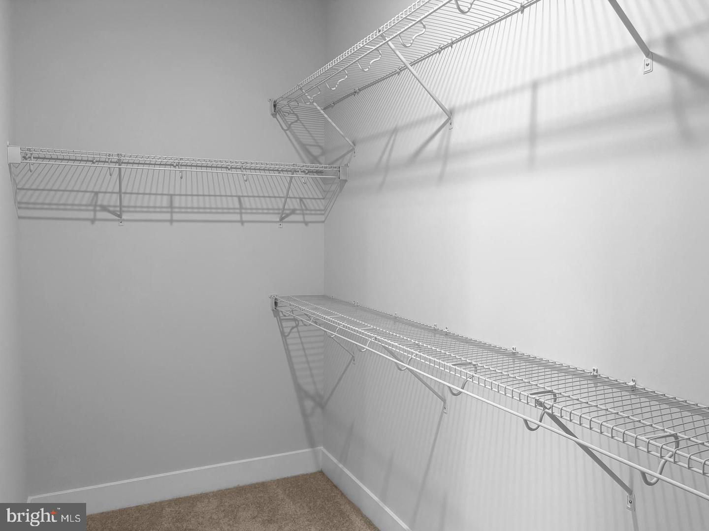 29668 Highbridge Way Property Photo 4