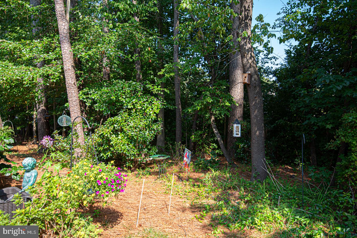 38466 Carroll Dr Property Photo 32