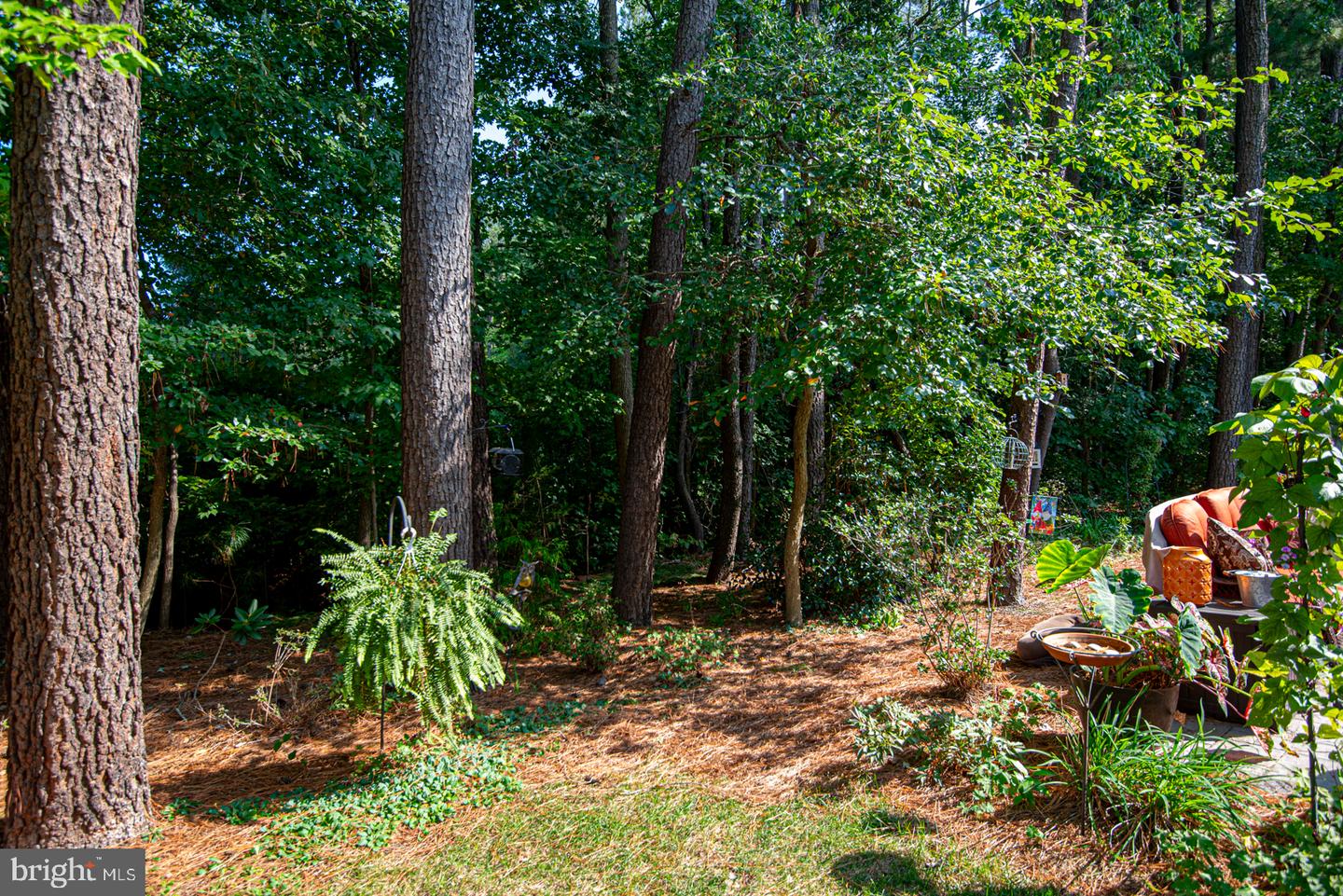 38466 Carroll Dr Property Photo 34