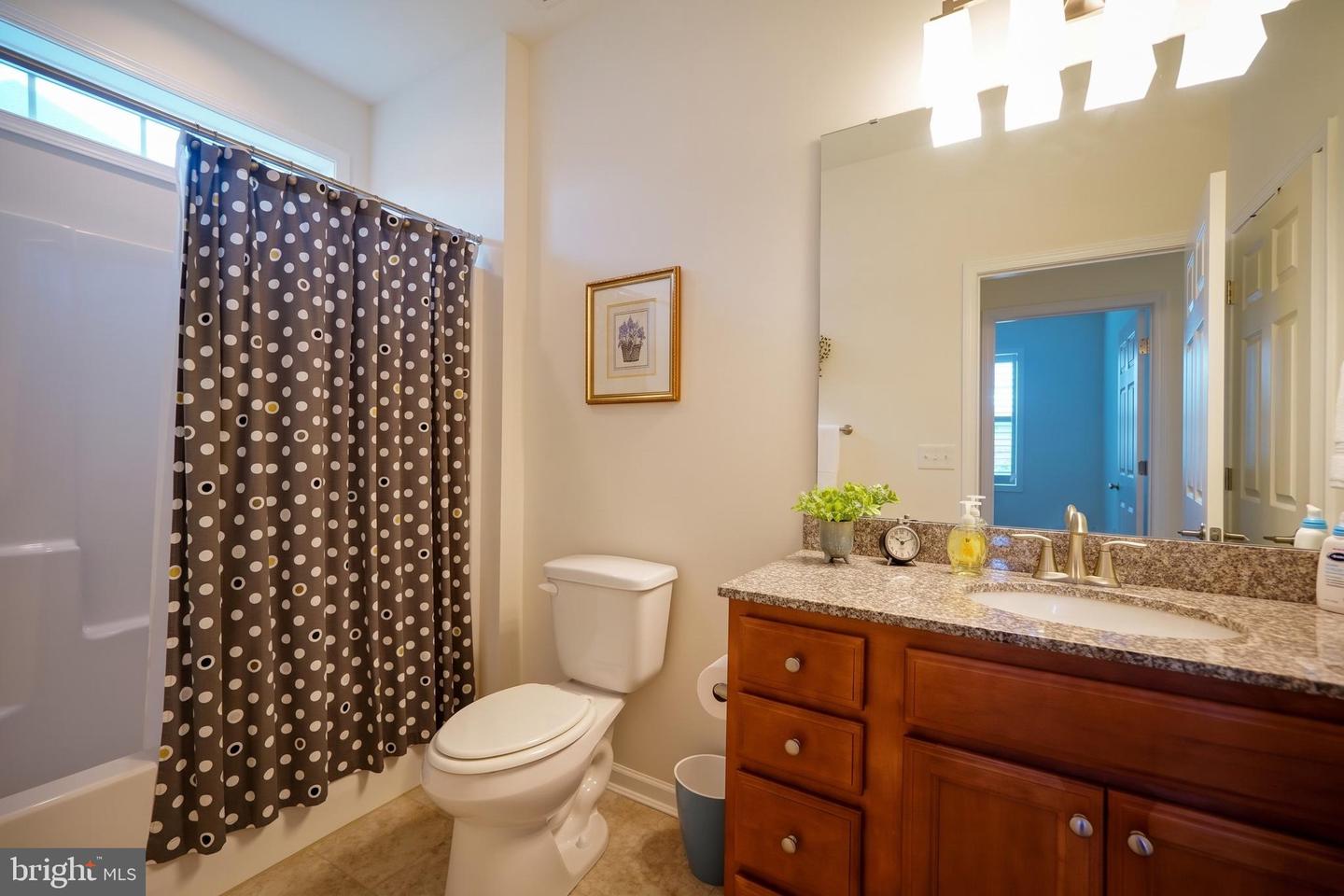 29512 Patrick Henry Cir Property Photo 38