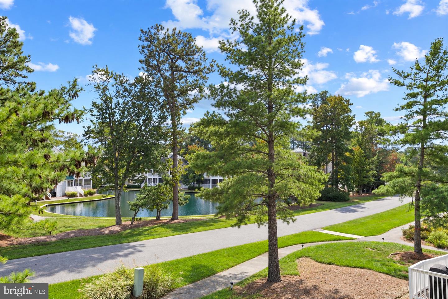39259 BAYBERRY CT #16003 Property Photo 1
