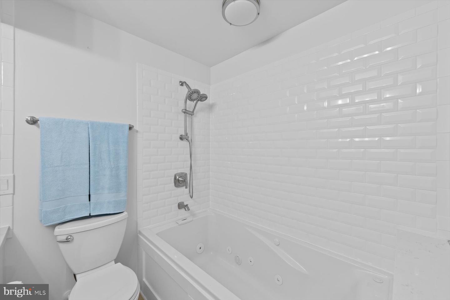 32039 Ivory Gull Way Property Photo 51