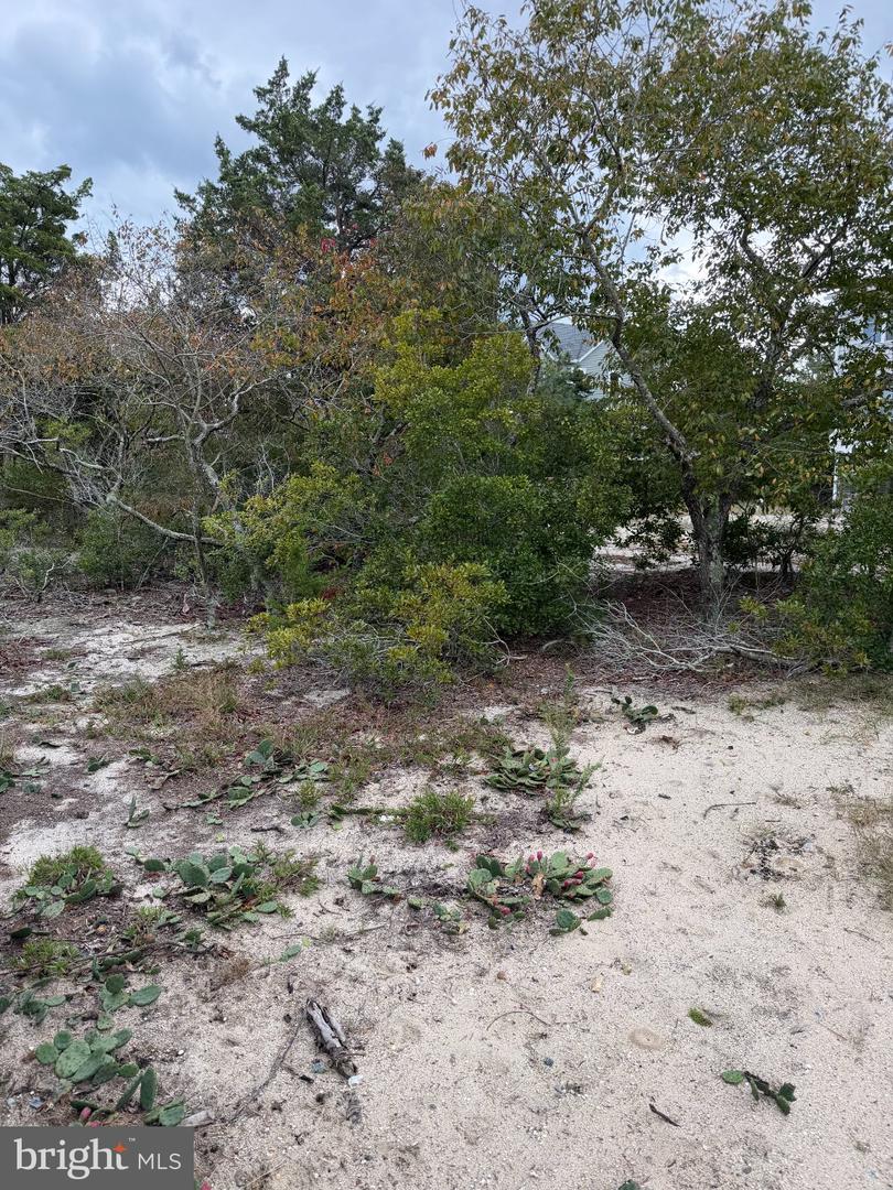 Lot 9 Pintail Ave Property Photo 1