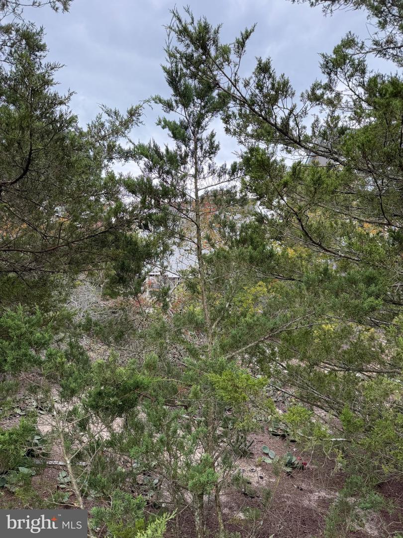 Lot 9 Pintail Ave Property Photo 4