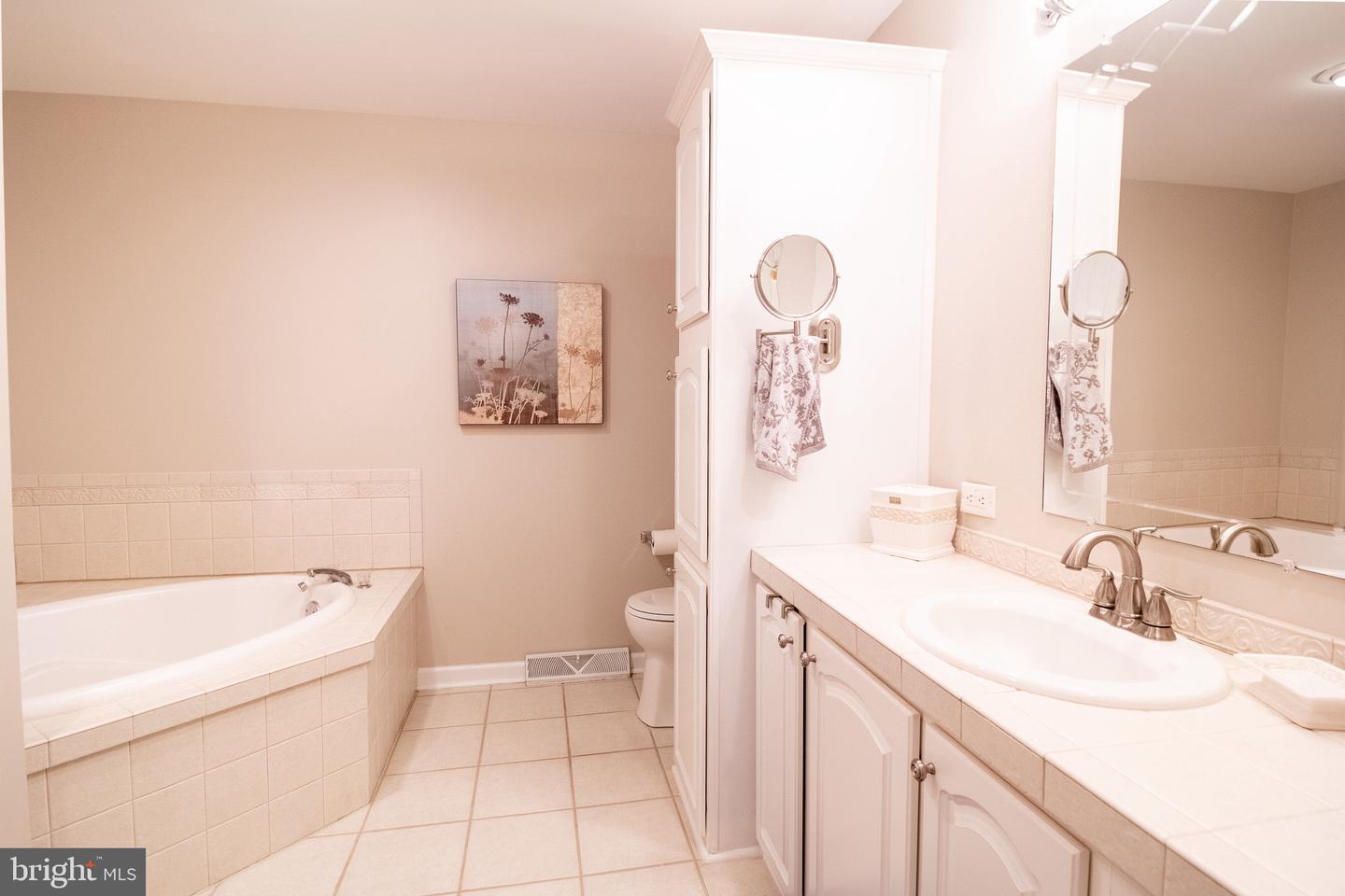 32581 Long Spoon Way #3281 Property Photo 36