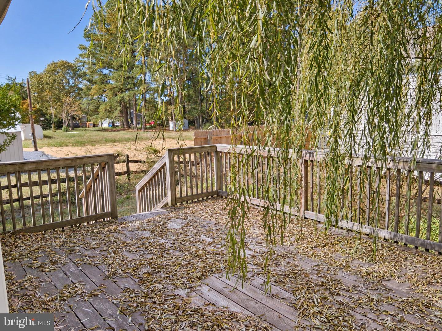 28320 Forest Dr Property Photo 5