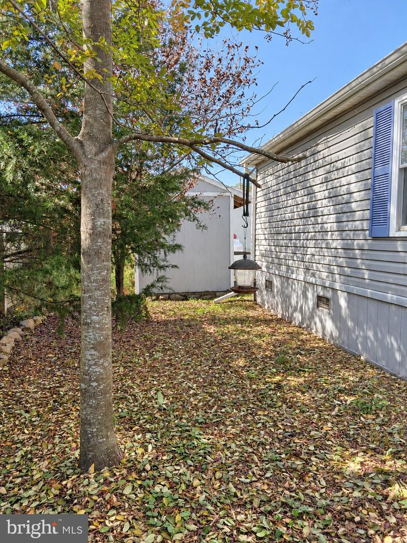 28320 Forest Dr Property Photo 6