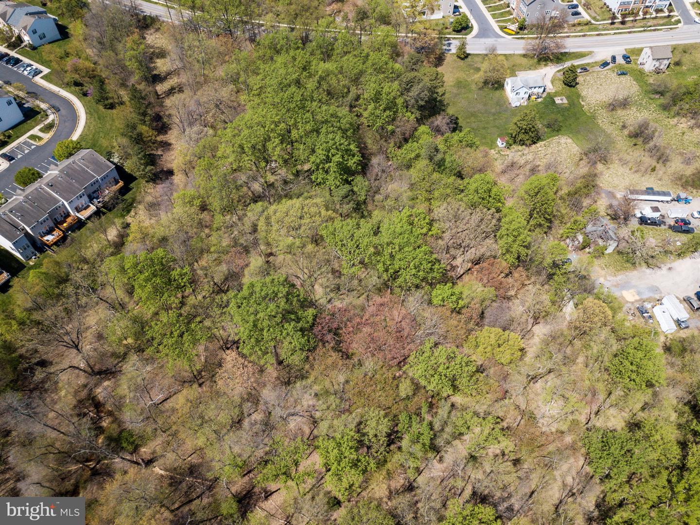 Parcel 271 Wright Rd Property Photo 6
