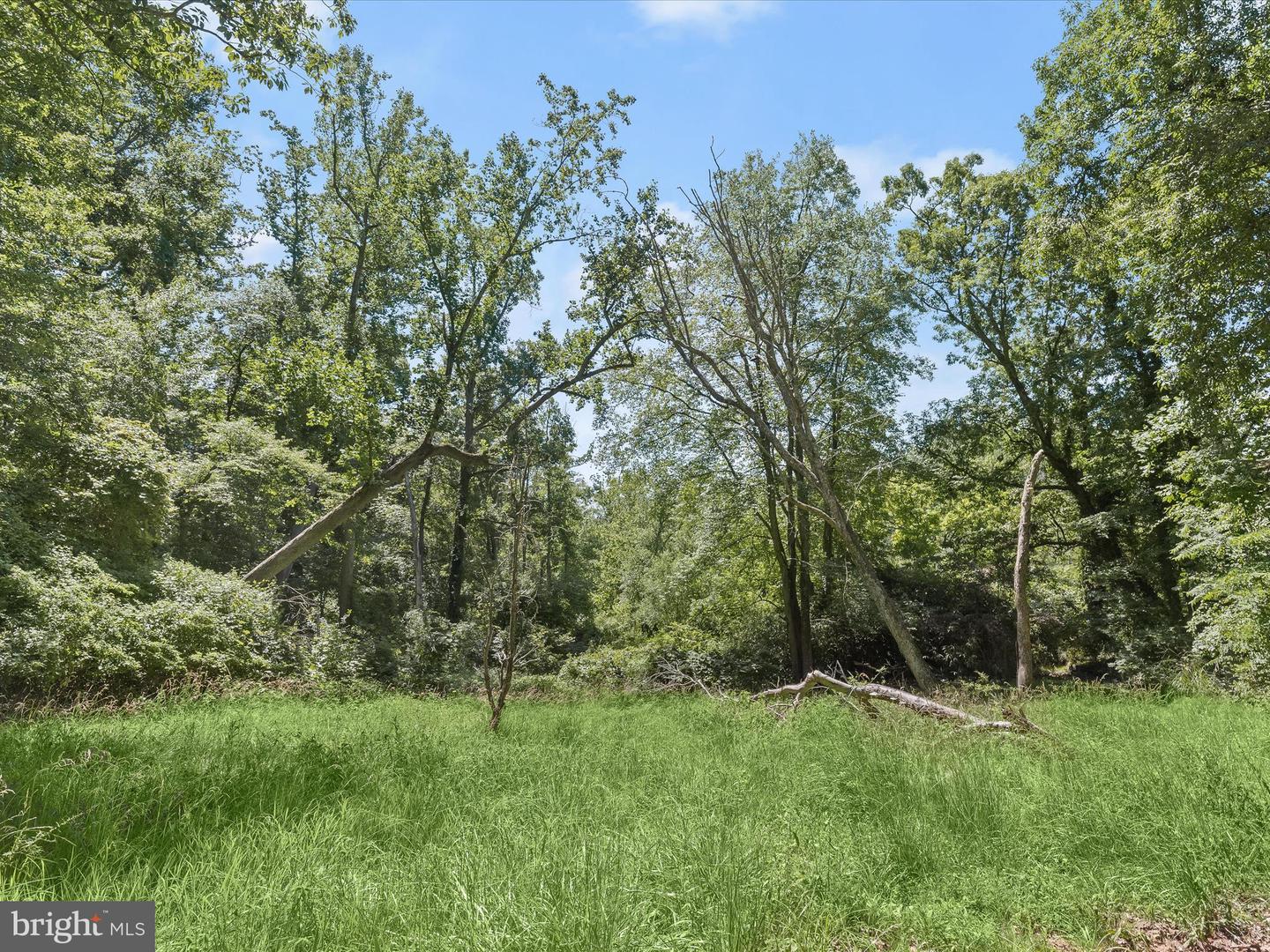 1632 Winchester Rd Property Photo 46