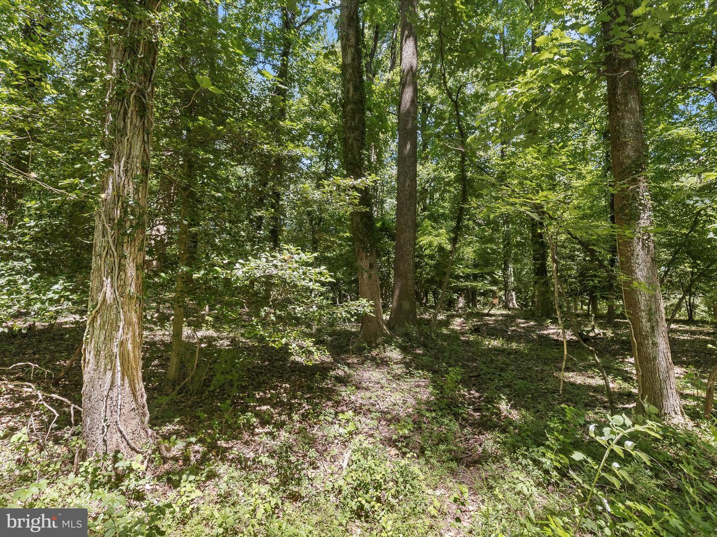 1632 Winchester Rd Property Photo 51