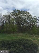 Annapolis Road Property Photo 9
