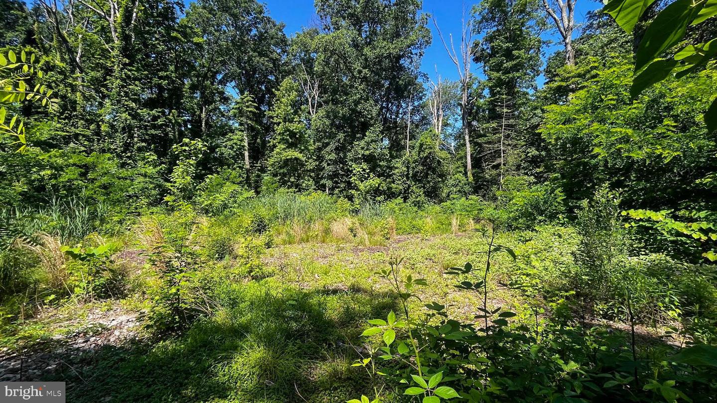 Lot 17 Vinter Ln Property Photo 3