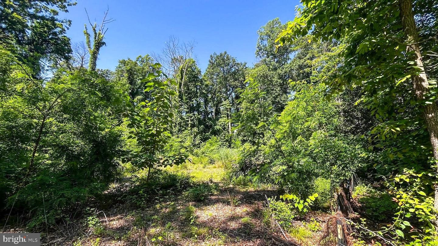 Lot 17 Vinter Ln Property Photo 6