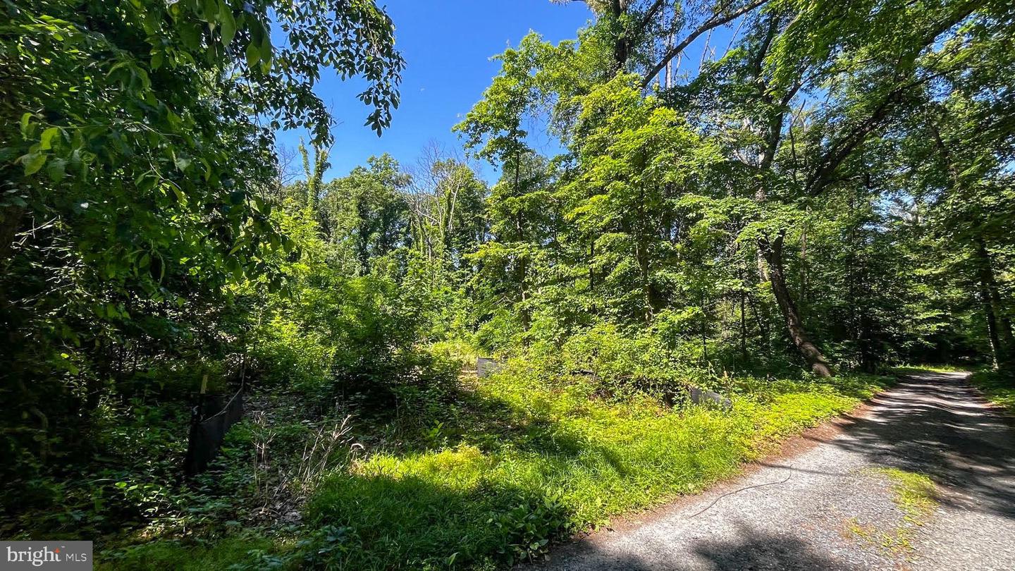 Lot 17 Vinter Ln Property Photo 7