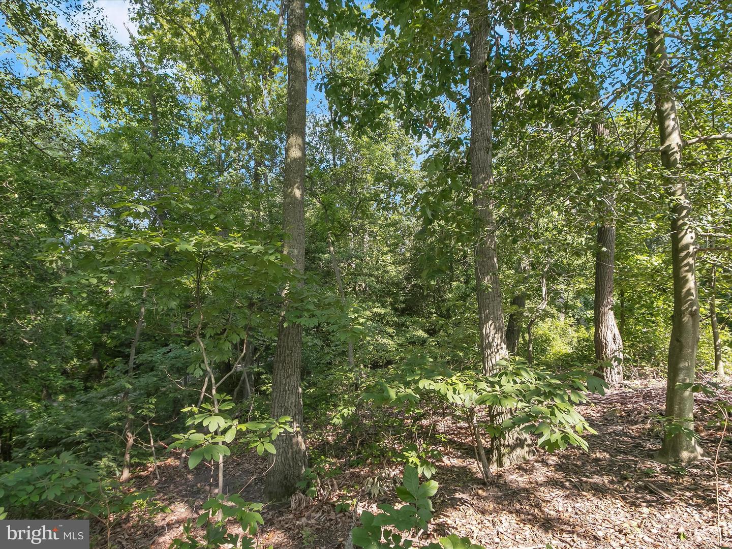 Lot 17 Vinter Ln Property Photo 7