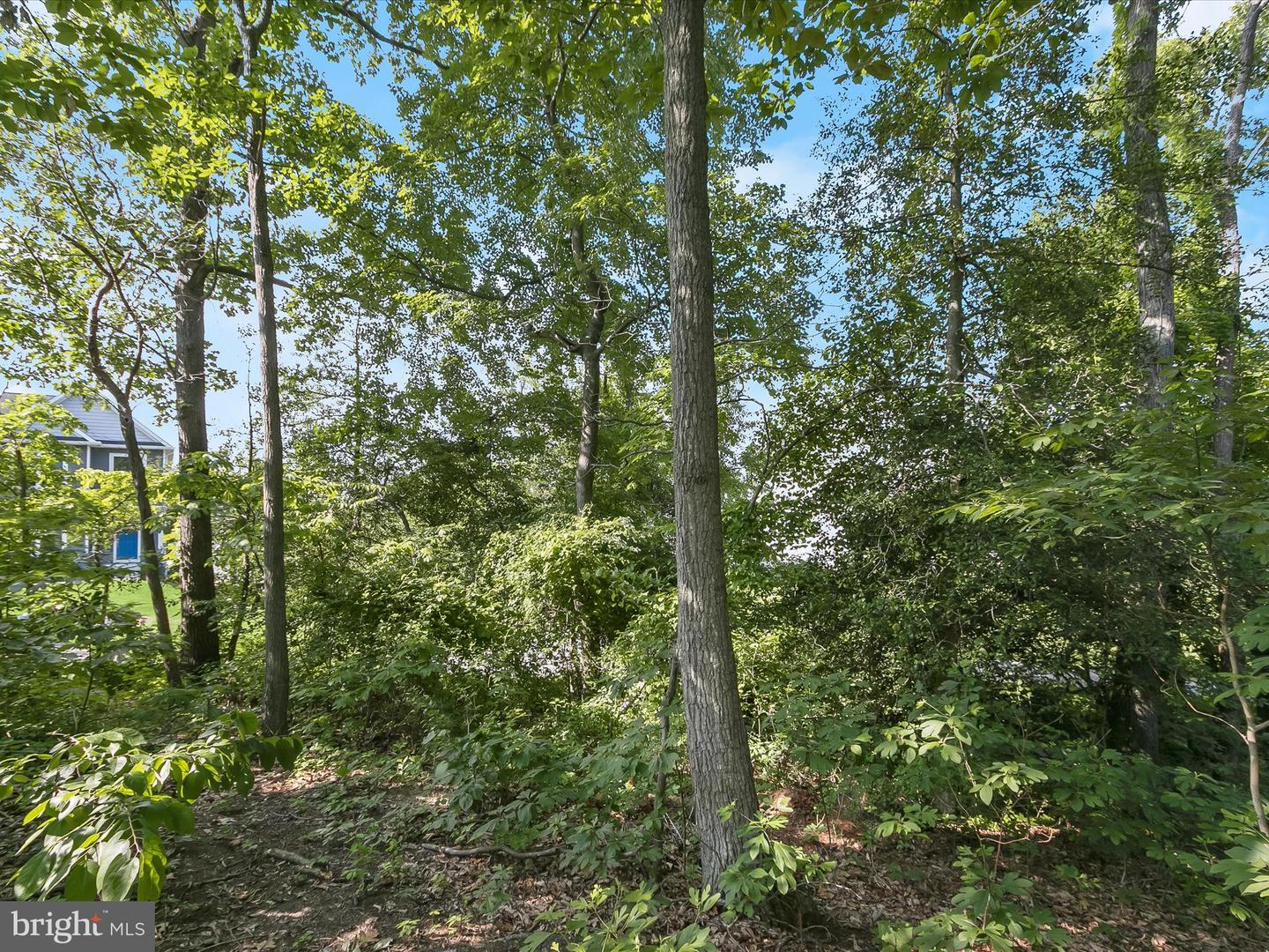 Lot 17 Vinter Ln Property Photo 8