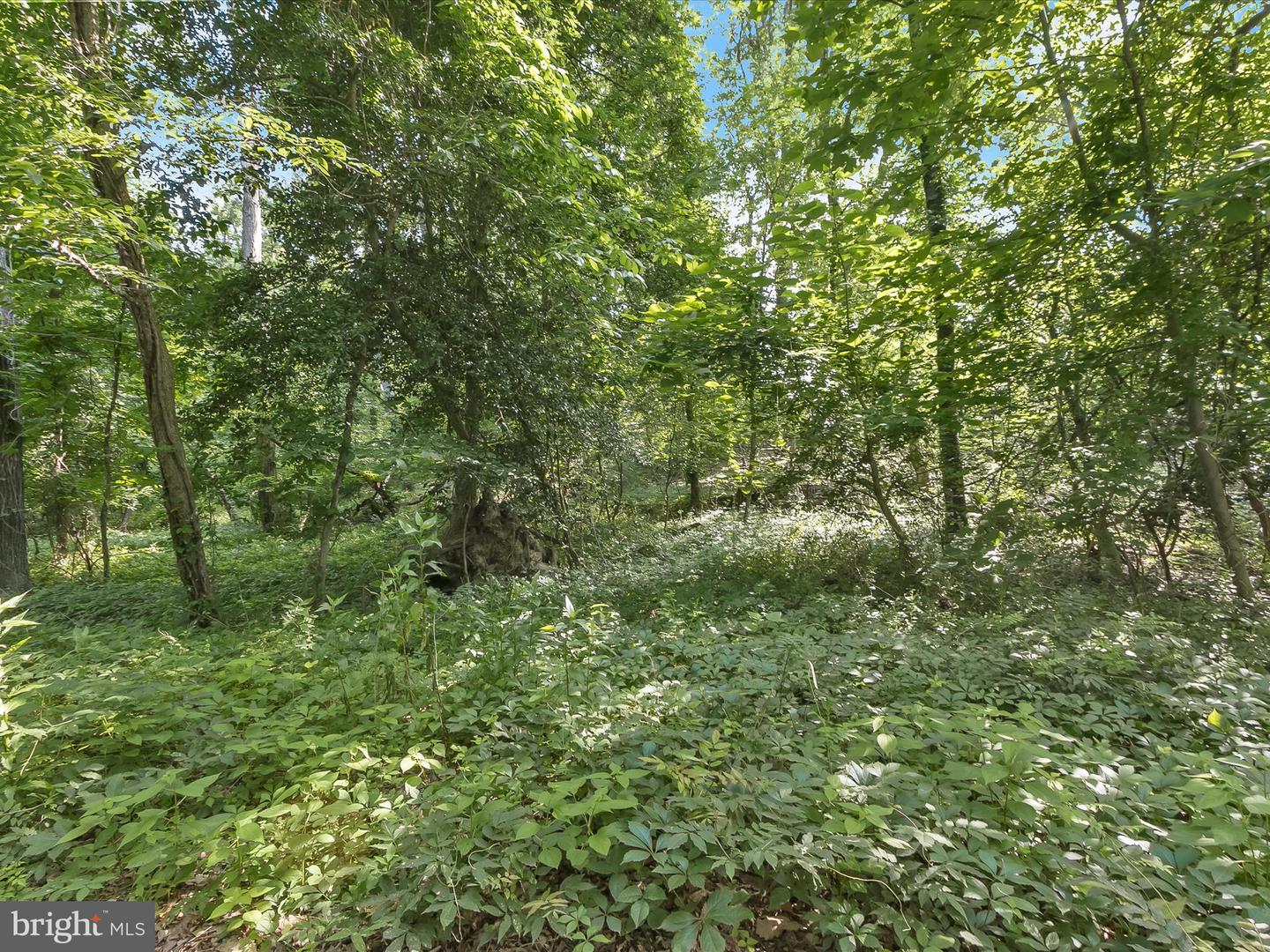 Lot 17 Vinter Ln Property Photo 10