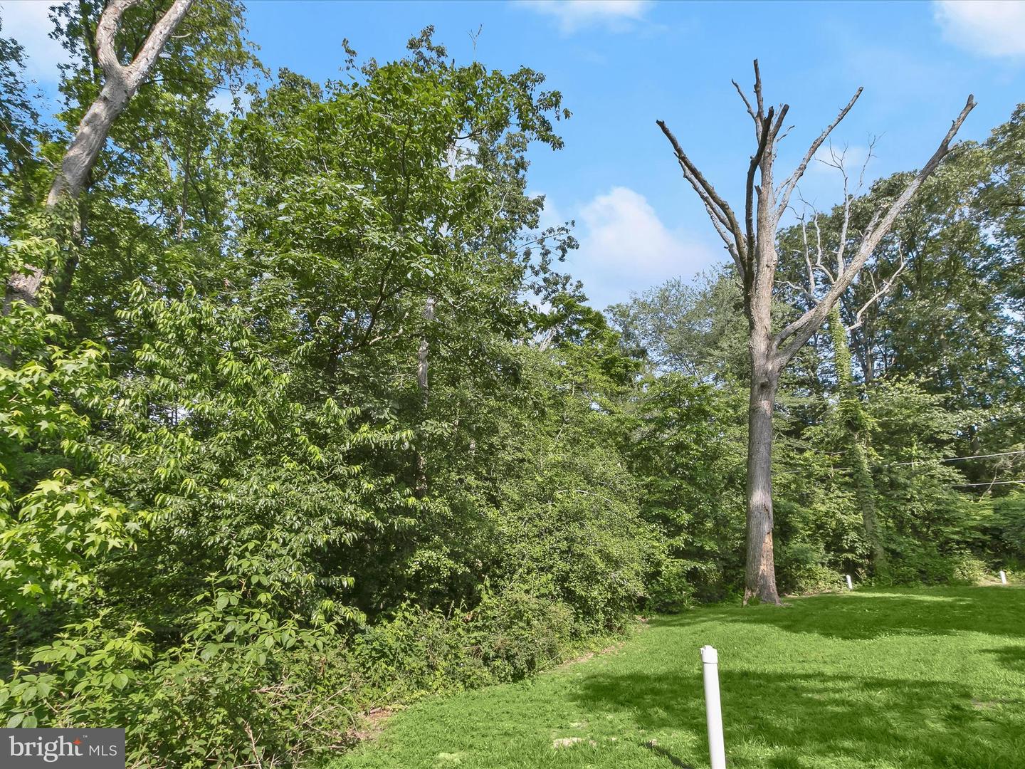 Lot 17 Vinter Ln Property Photo 11