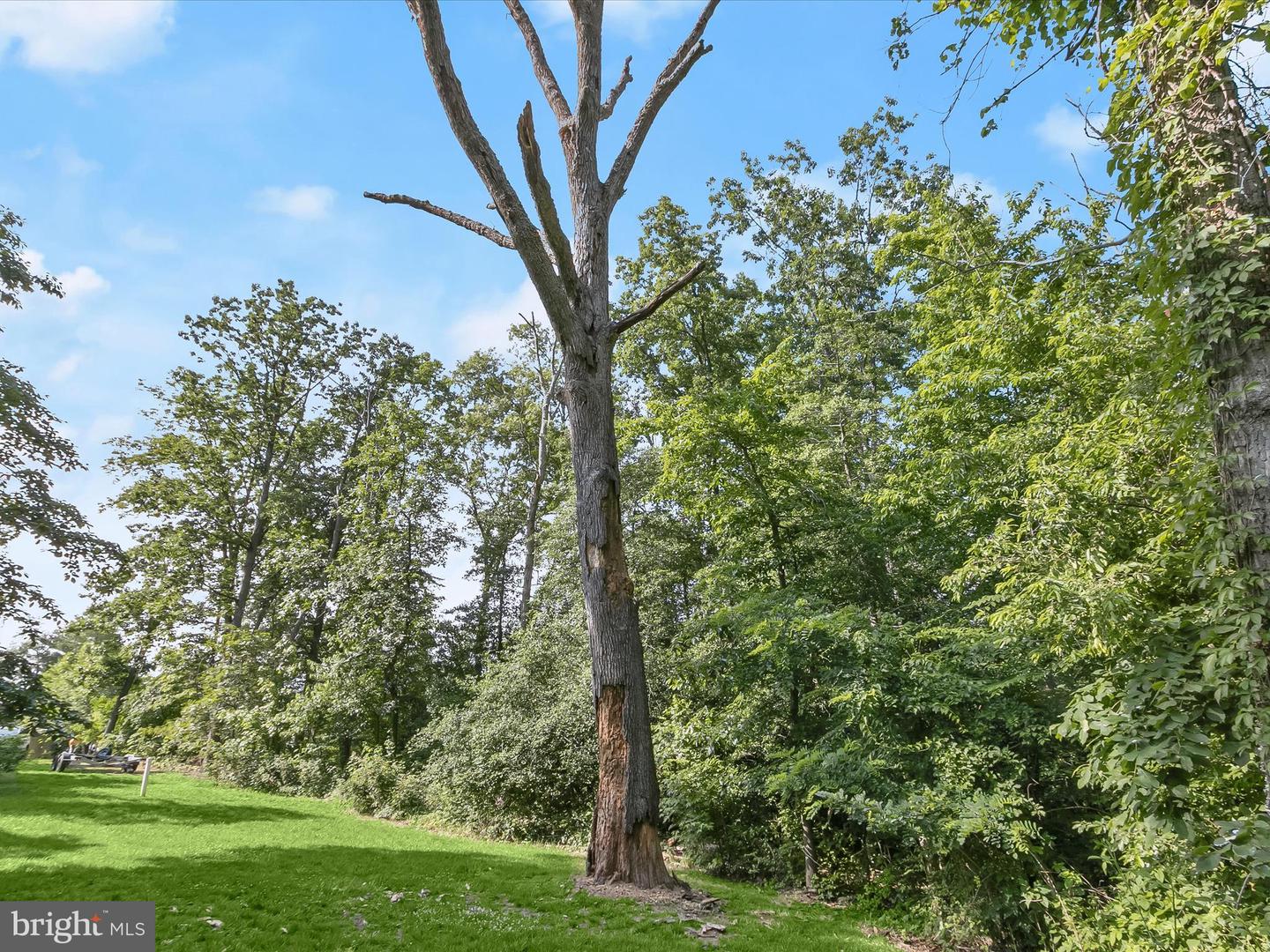 Lot 17 Vinter Ln Property Photo 13